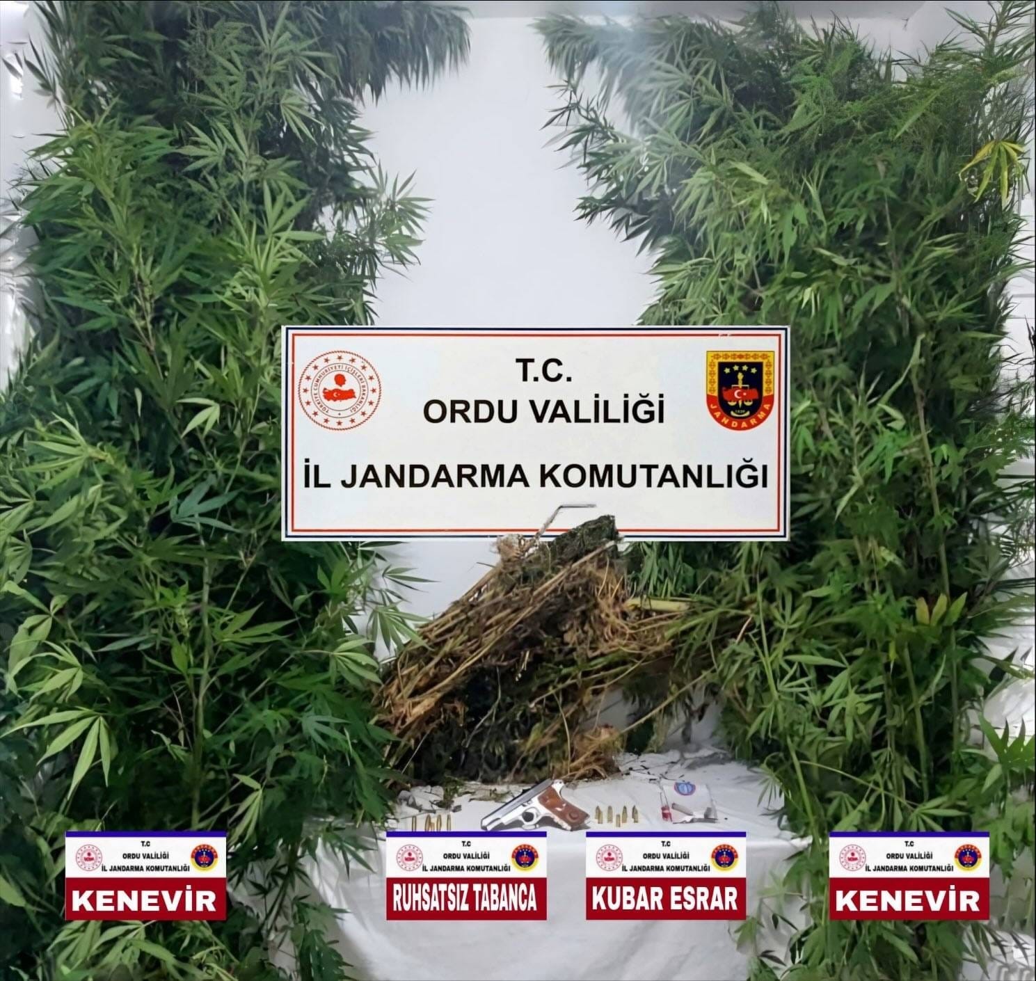 Ordu&rsquo;da jandarma ekiplerinden denetimler: 31 ş&uuml;pheli yakalandı
