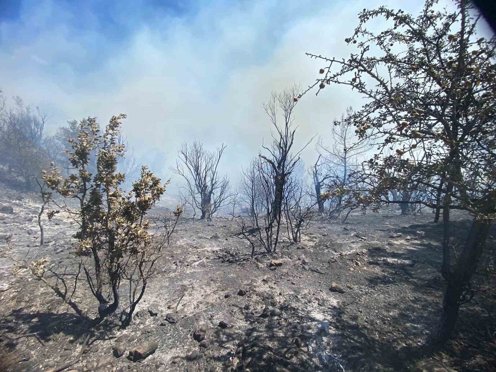 İzmir’deki orman yangını kontrol altına alındı