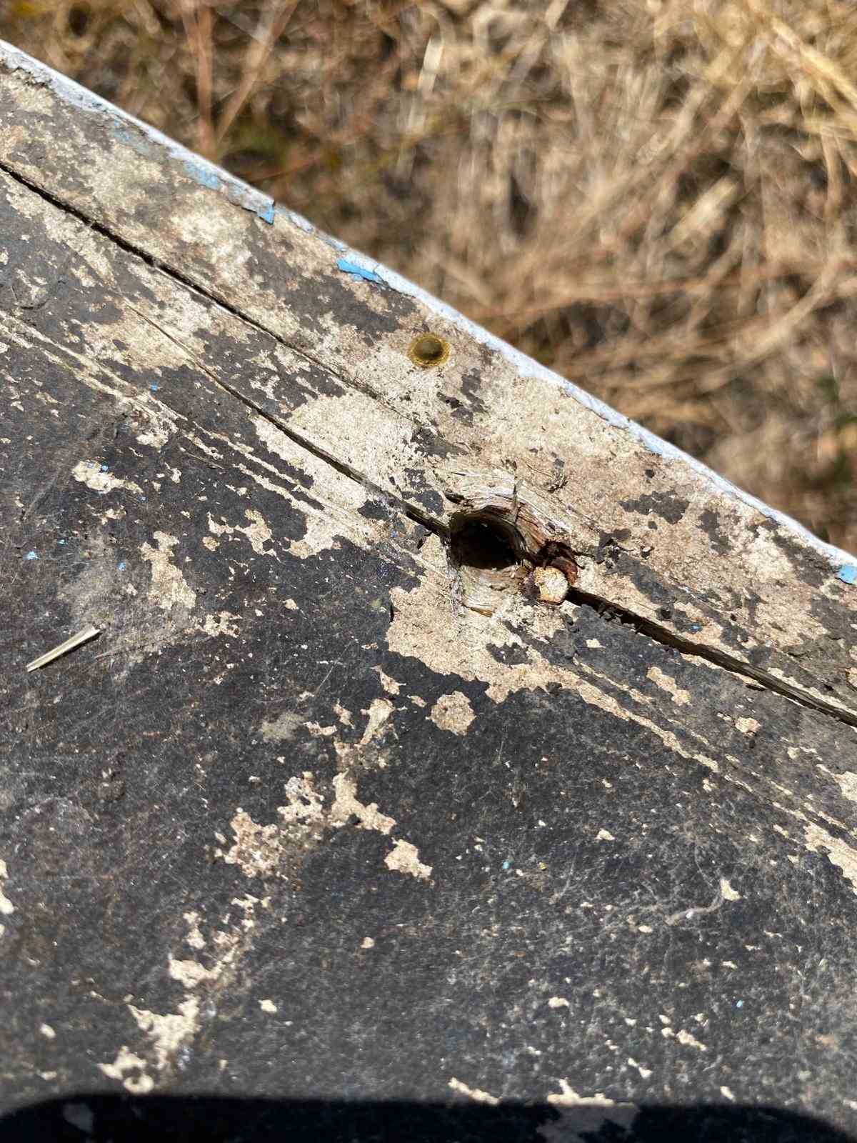 Ayı kovanları par&ccedil;alayıp balı yedi, &uuml;retici 100 bin lira zarara uğradı
