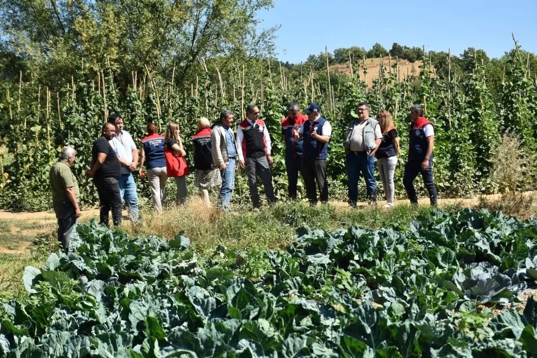 Kuyucak&rsquo;ta toprakla buluşturulan 220 bin domates fidesinde hasat yapıldı
