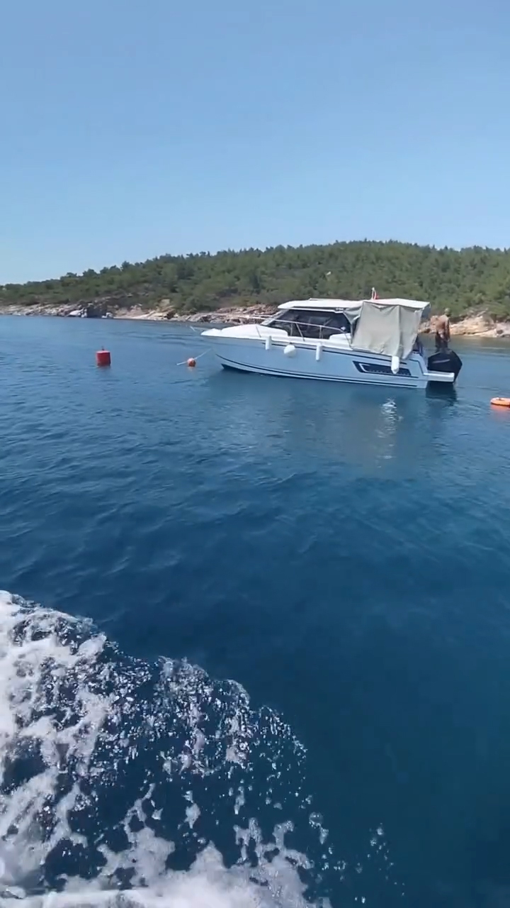 Ayvalık Adaları’nda deniz çayırları korunuyor