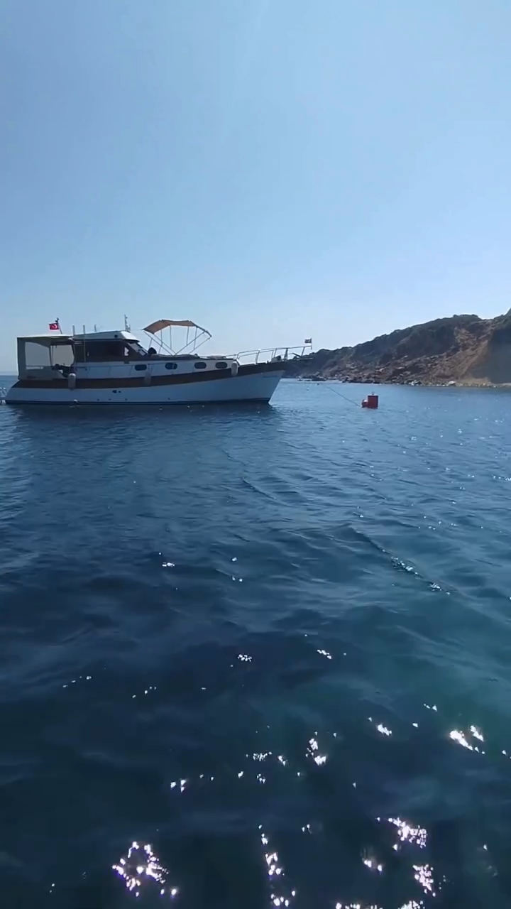 Ayvalık Adaları&rsquo;nda deniz &ccedil;ayırları korunuyor
