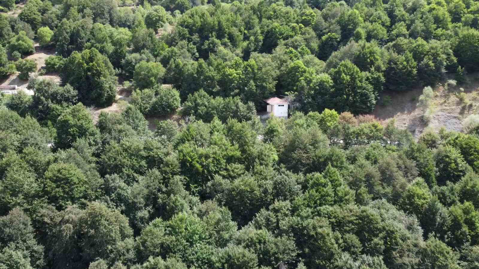 Yozgat’ta doğayla iç içe serin bir durak: Aydıncık Şebek Pınarı Yaylası
