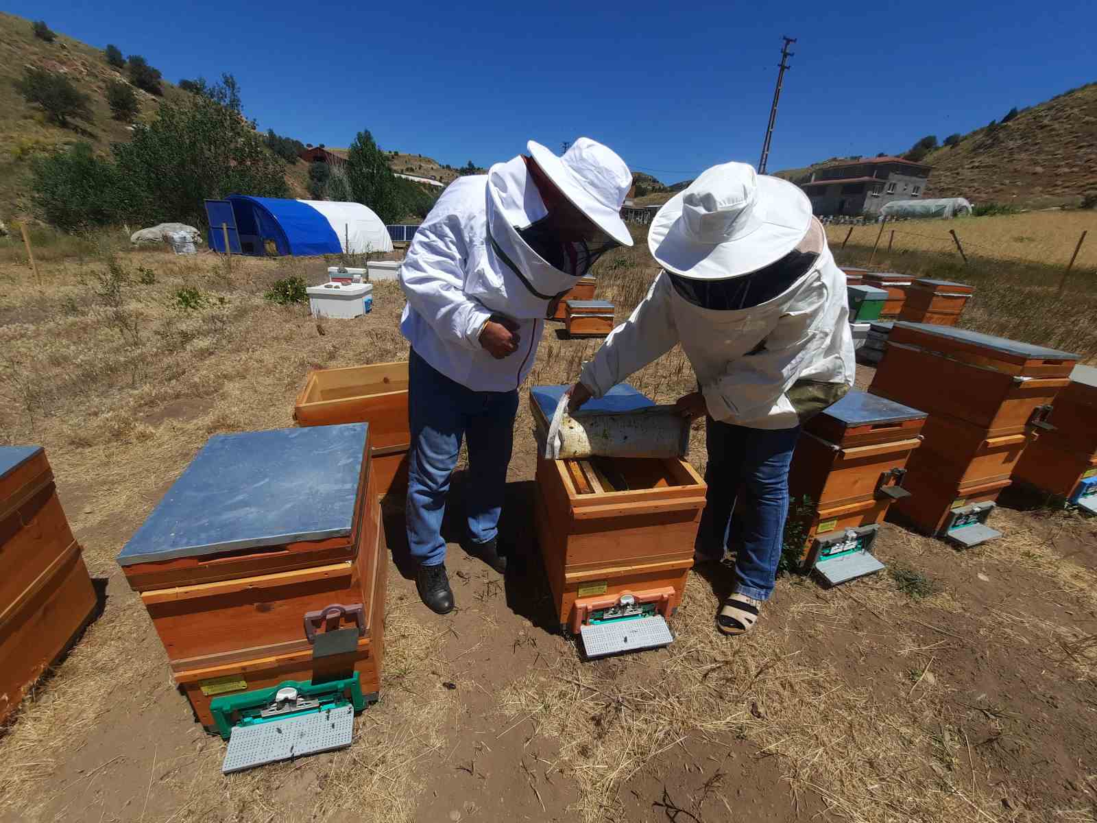 Kadınlara verilen destekler, meyvelerini vermeye başladı
