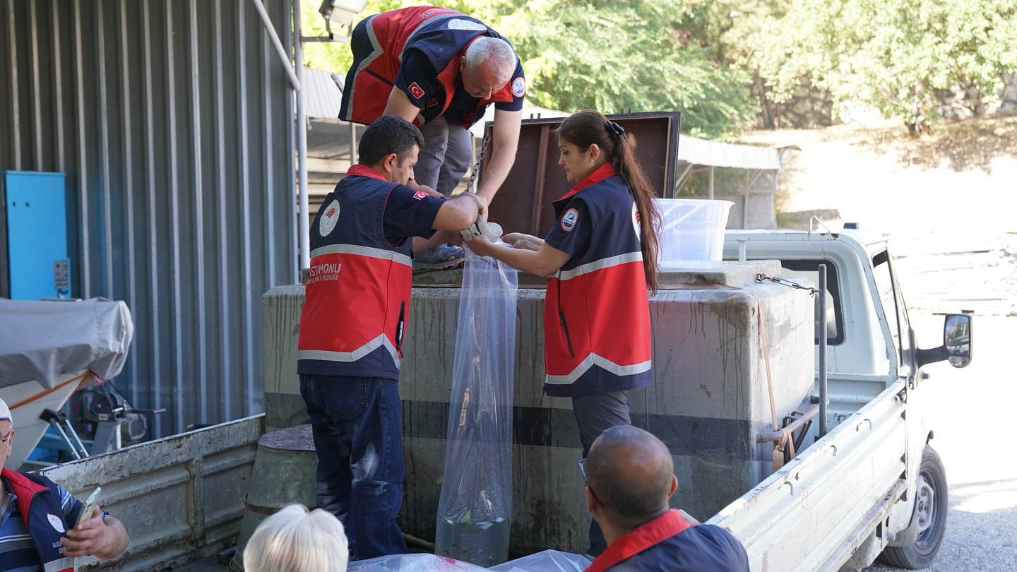 Kastamonu&rsquo;da baraj ve g&ouml;letlere 656 bin yavru sazan balığı salındı
