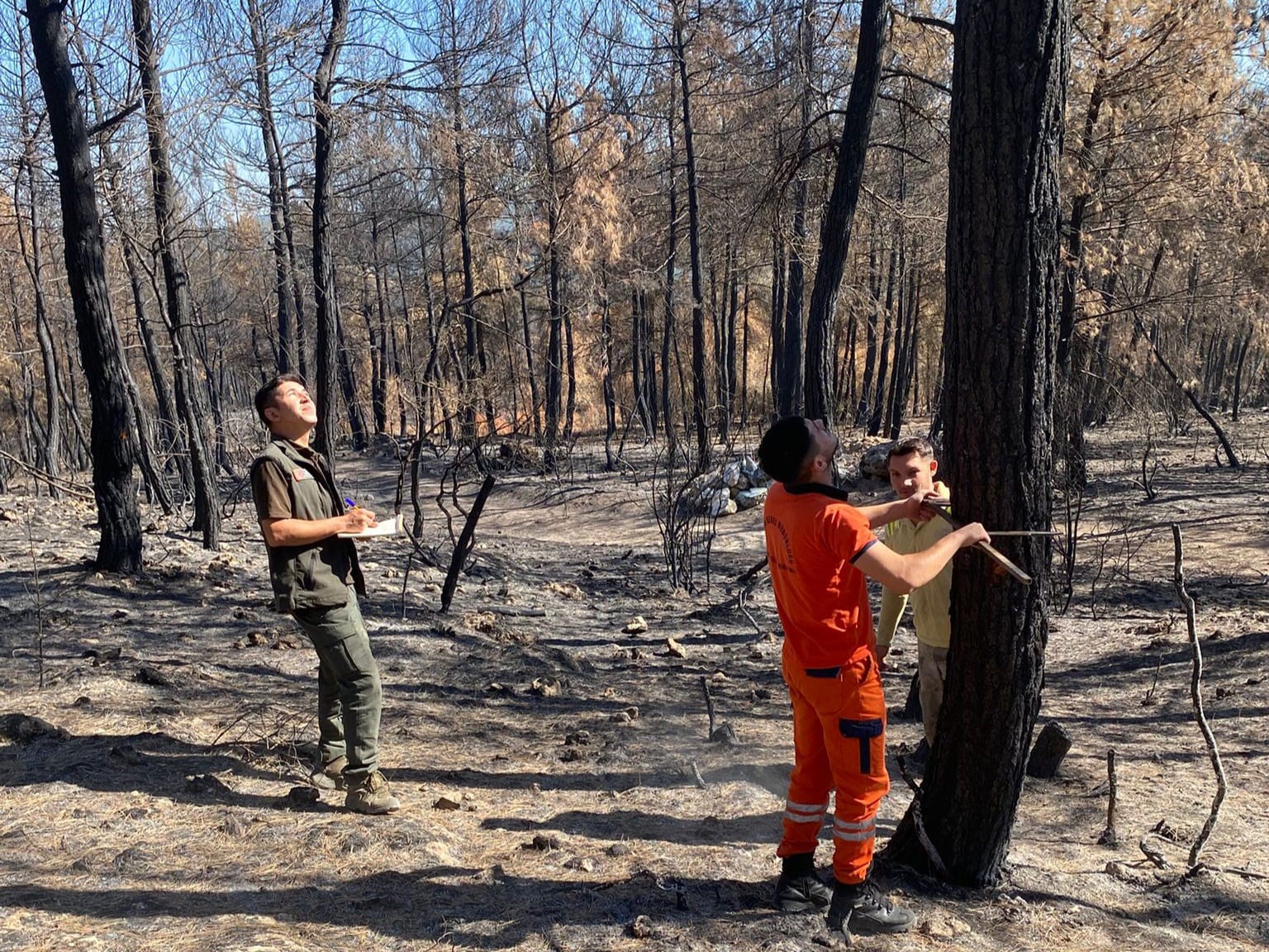 Bursa&rsquo;da yanan ağa&ccedil;ları tek tek saydılar...Hem havadan hem karadan
