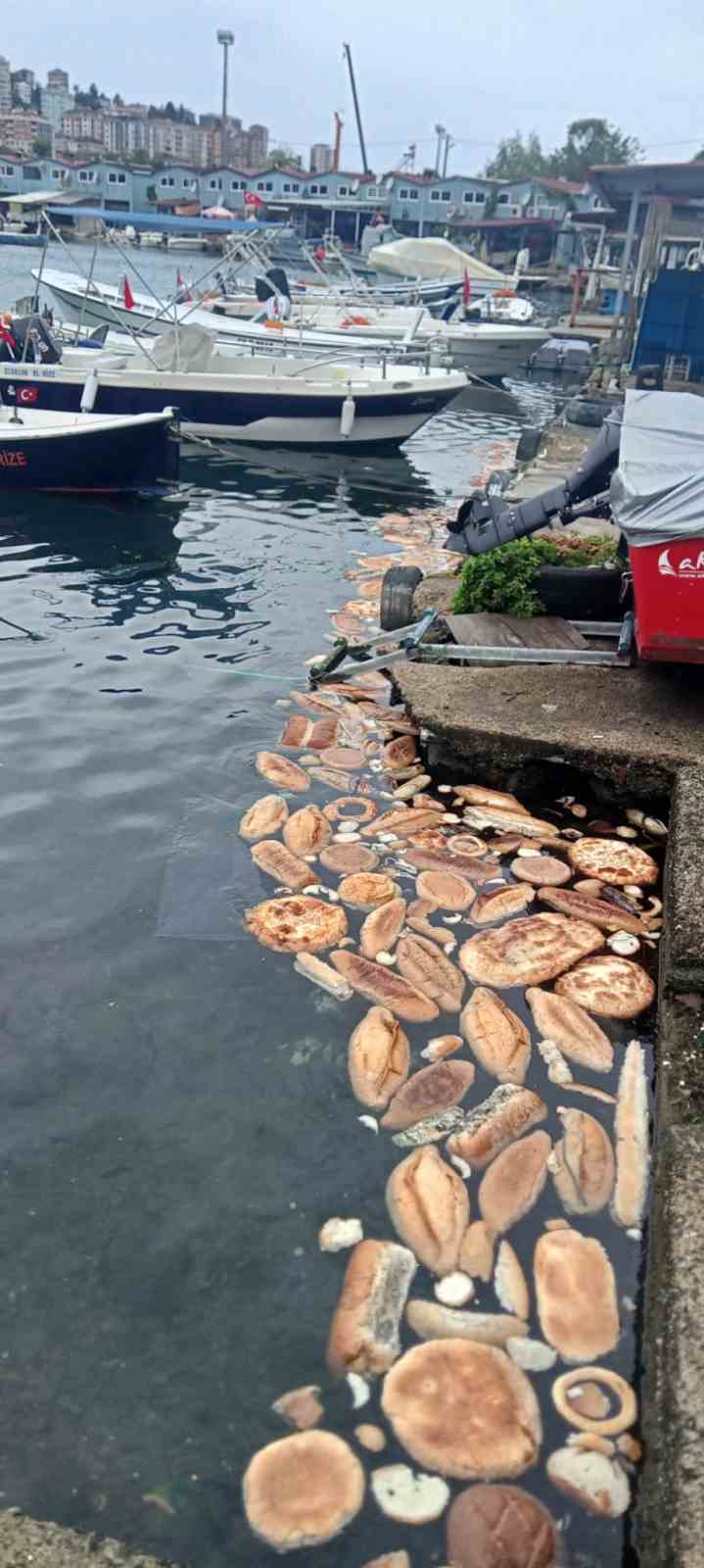 Yüzlerce ekmek, simit ve mısır ekmeğini denize döktüler
