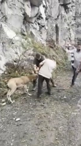 Milli Parklar’ın fendi dağ keçisinin inadını yendi