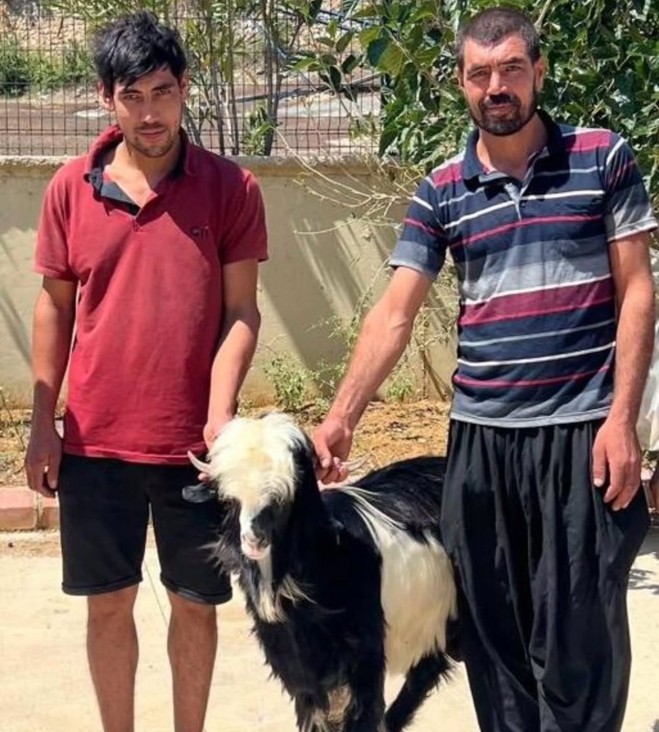 Adana’da keçi çalan 2 şüpheli yakalandı