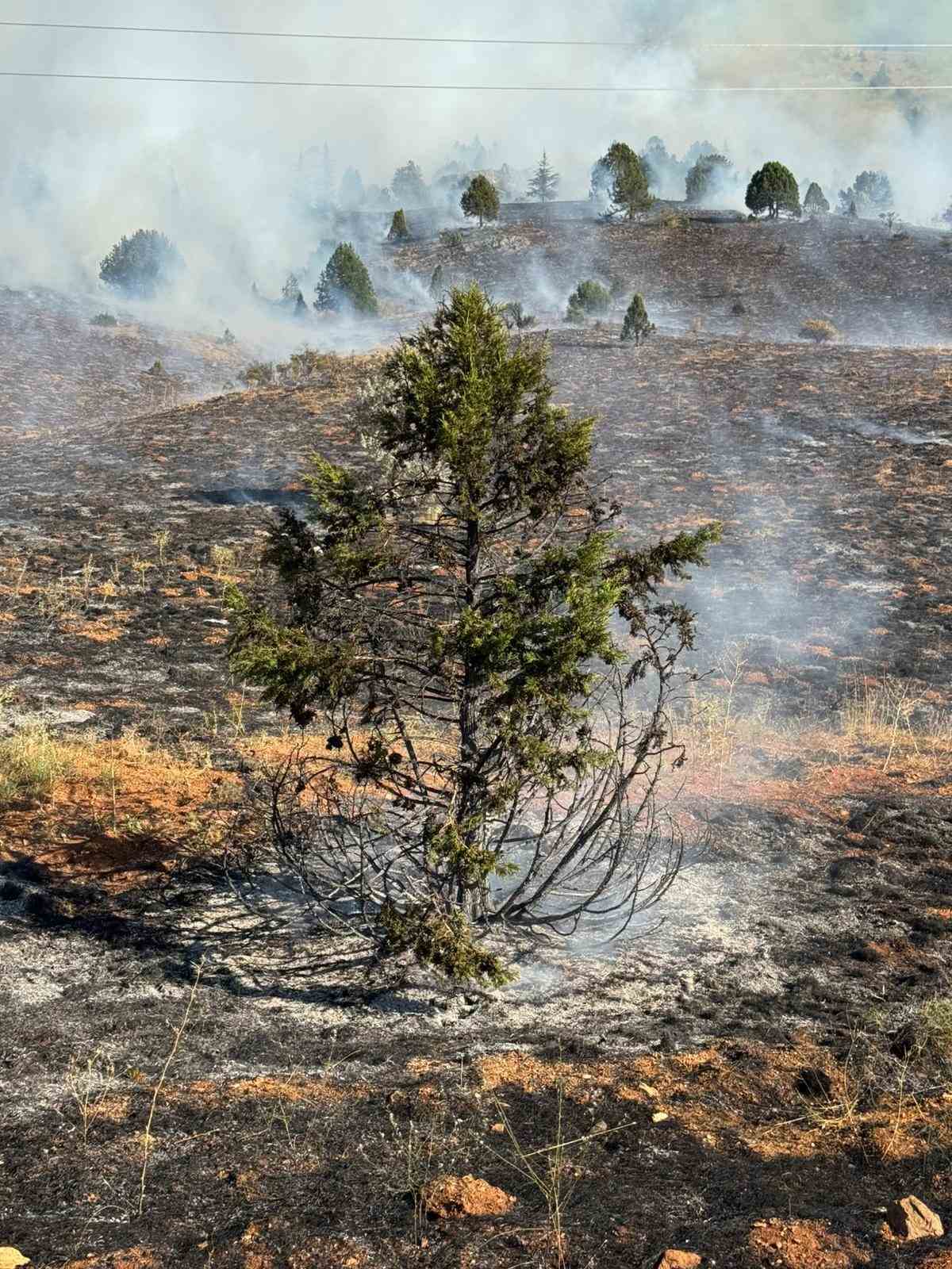 Adana Tufanbeyli&rsquo;de orman yangını
