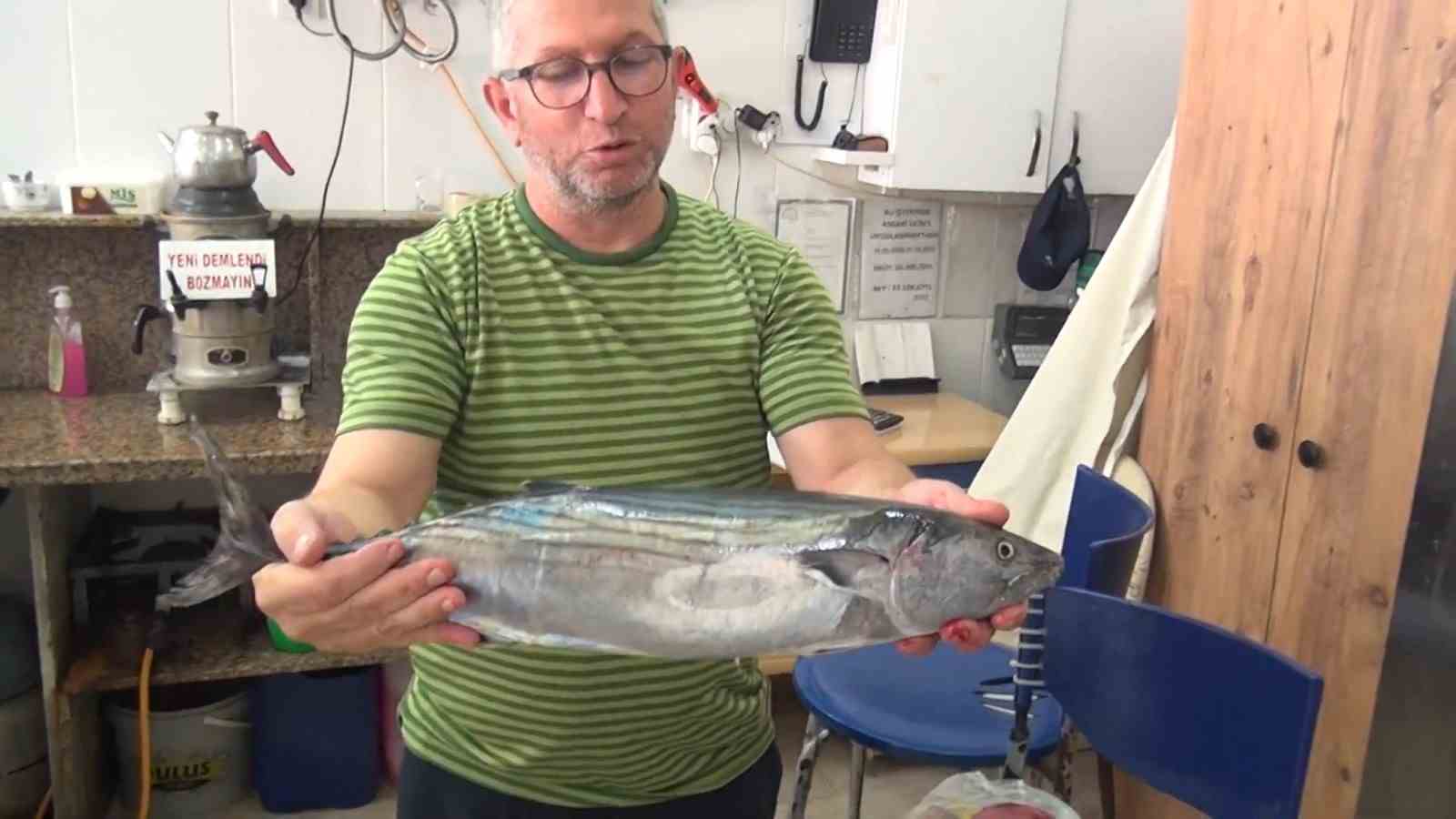 Sinop’ta tezgahlara sezonun ilk torik balığı düştü