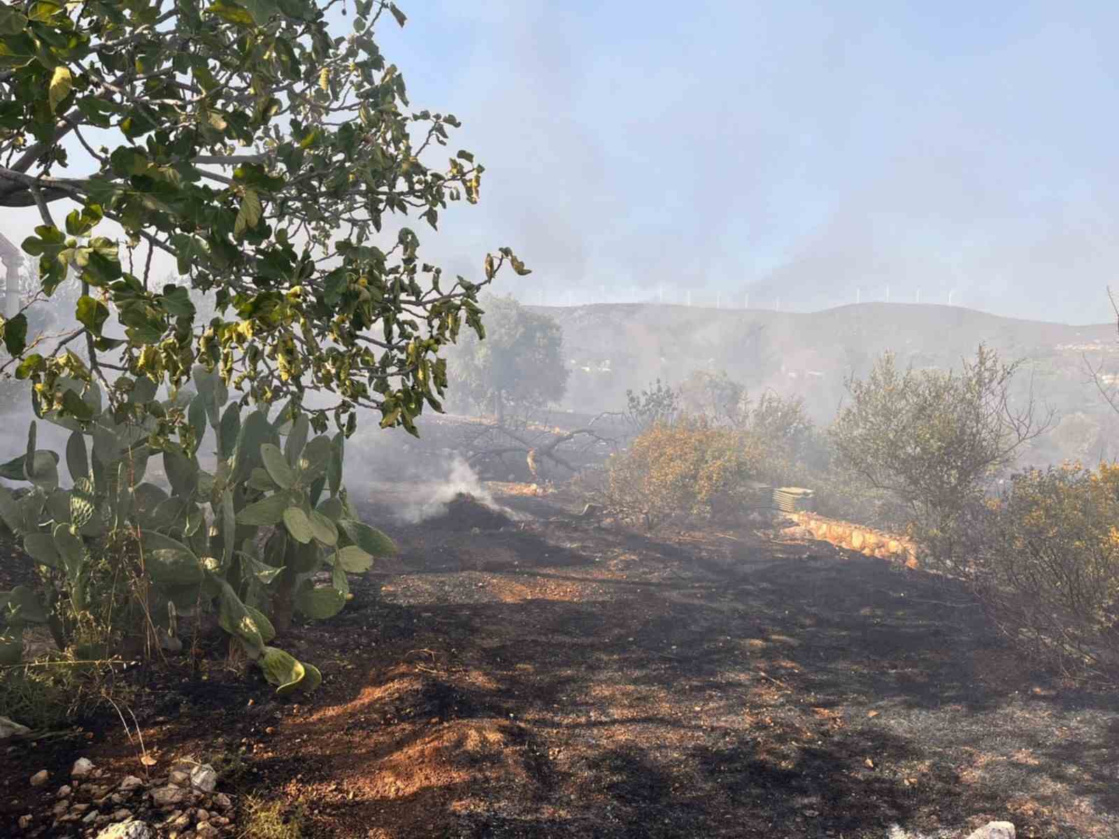 Didim’de makilik ve zeytinlik yangını korkuttu