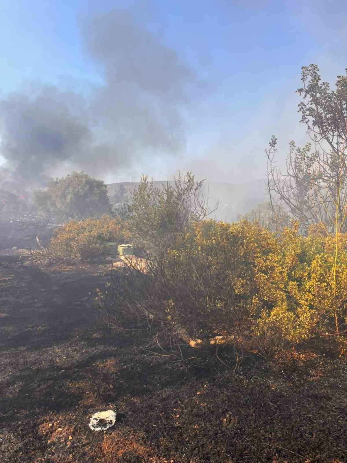 Didim&rsquo;de makilik ve zeytinlik yangını korkuttu

