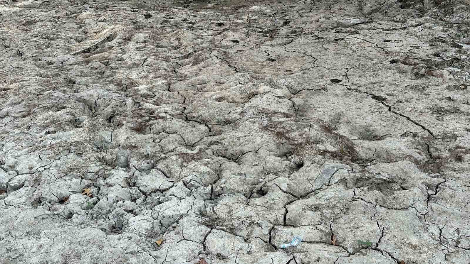 Yedig&ouml;ze Şelaleleri kurudu, geriye "Suya girmek tehlikeli ve yasaktır" tabelası kaldı
