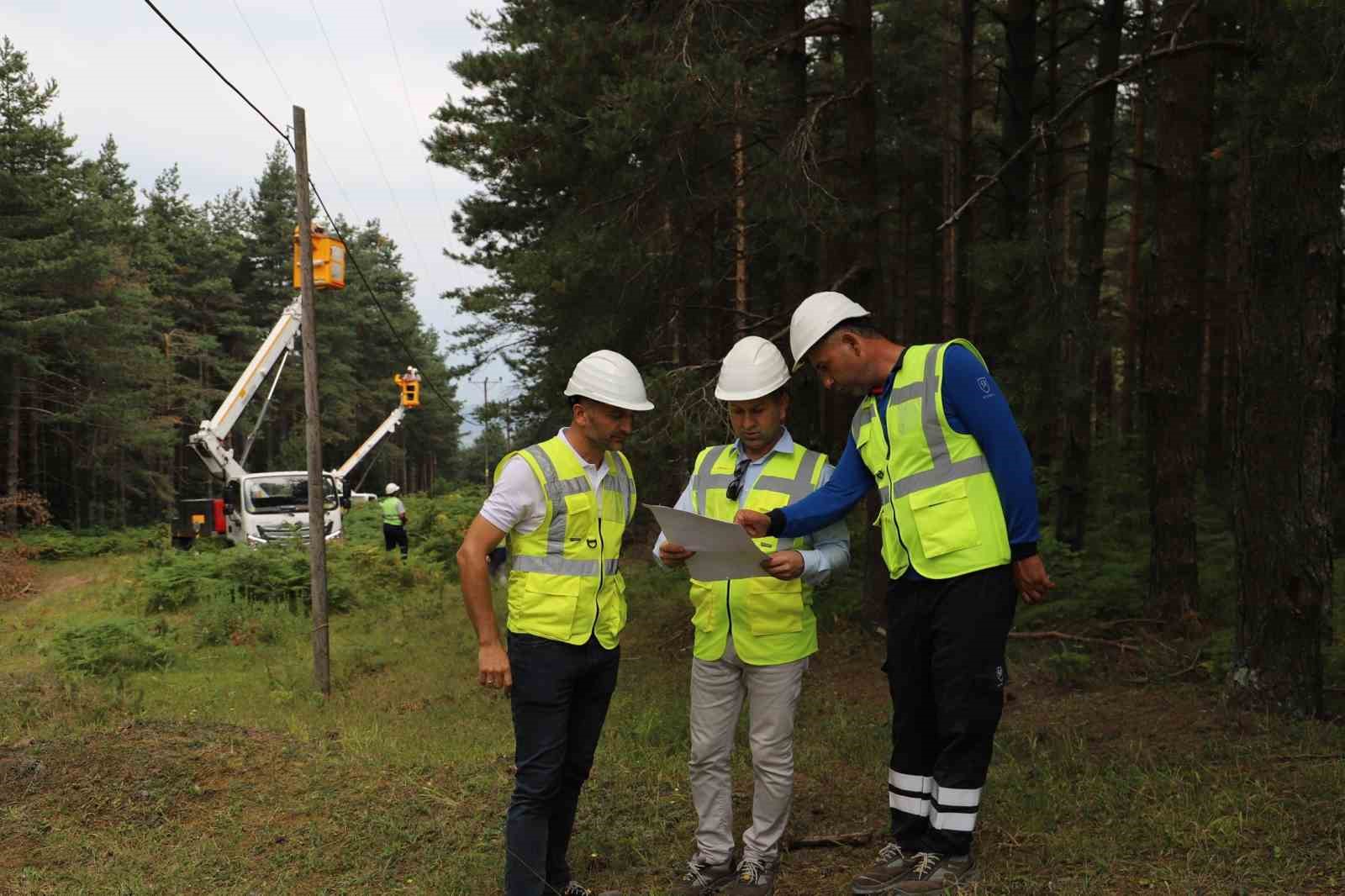 SEDAŞ, orman yangınlarına karşı dron destekli denetimlerini artırdı
