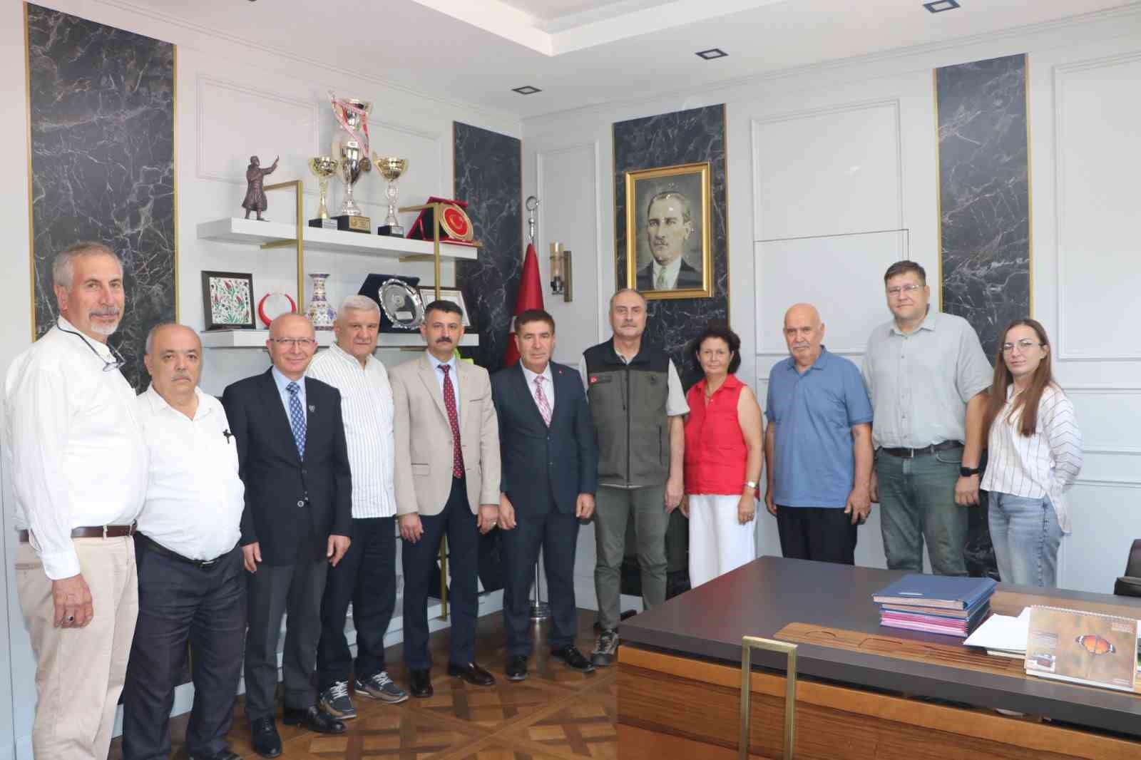 Seyitgazi’de yanan ormanların yerine yeniden ağaçlandırma çalışmaları yapılacak