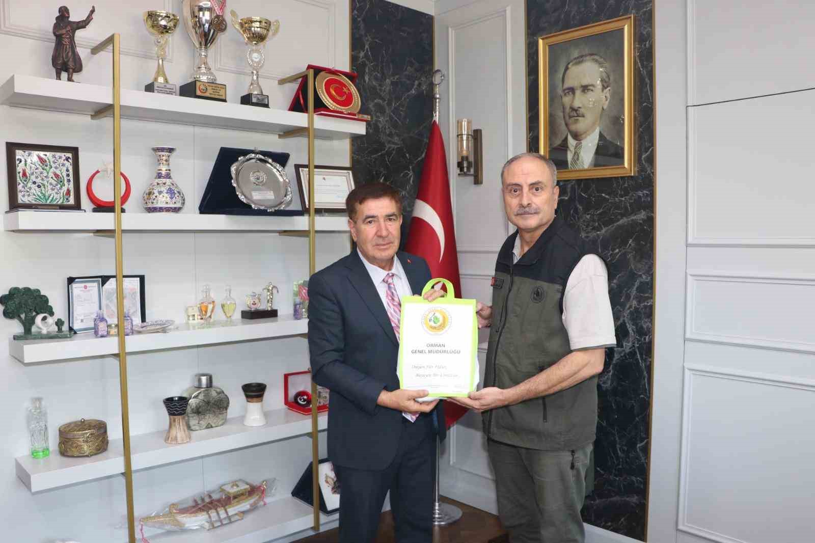 Seyitgazi&rsquo;de yanan ormanların yerine yeniden ağa&ccedil;landırma &ccedil;alışmaları yapılacak
