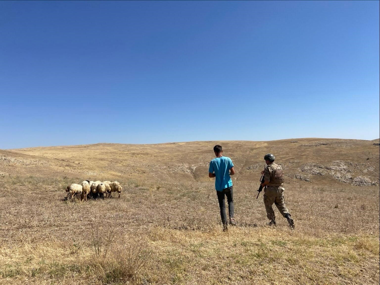 Kaybolan koyunları jandarma dronla buldu
