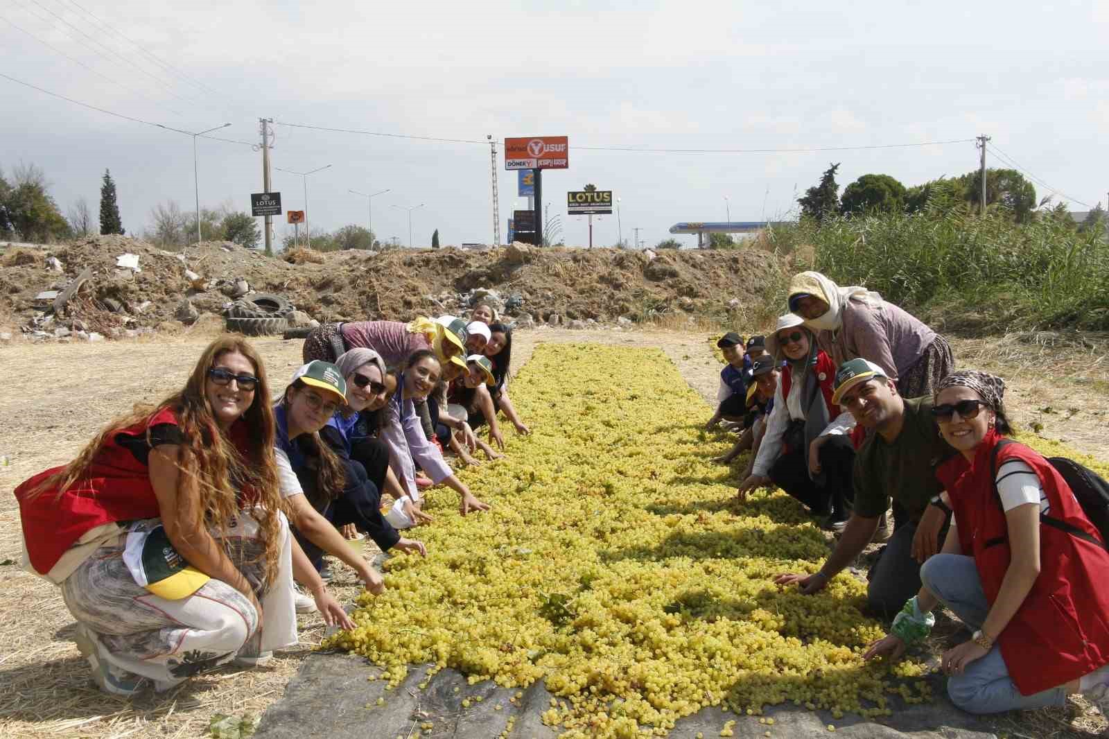 G&ouml;n&uuml;ll&uuml; gen&ccedil;ler &uuml;z&uuml;m kesti, &uuml;retimi yerinde &ouml;ğrendi
