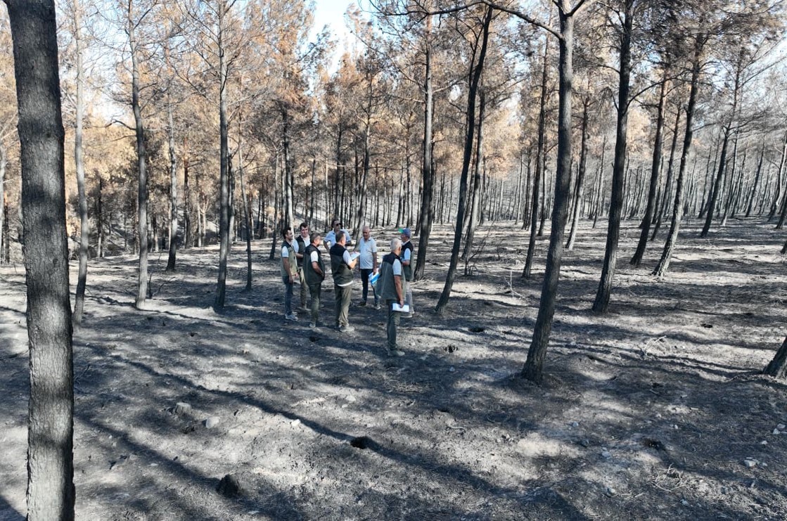 Çanakkale Orman Bölge Müdürü Demirci: "2025 yılında 130 adet orman yangınında 8 bin 196 hektar orman alanımız zarar görmüştür"