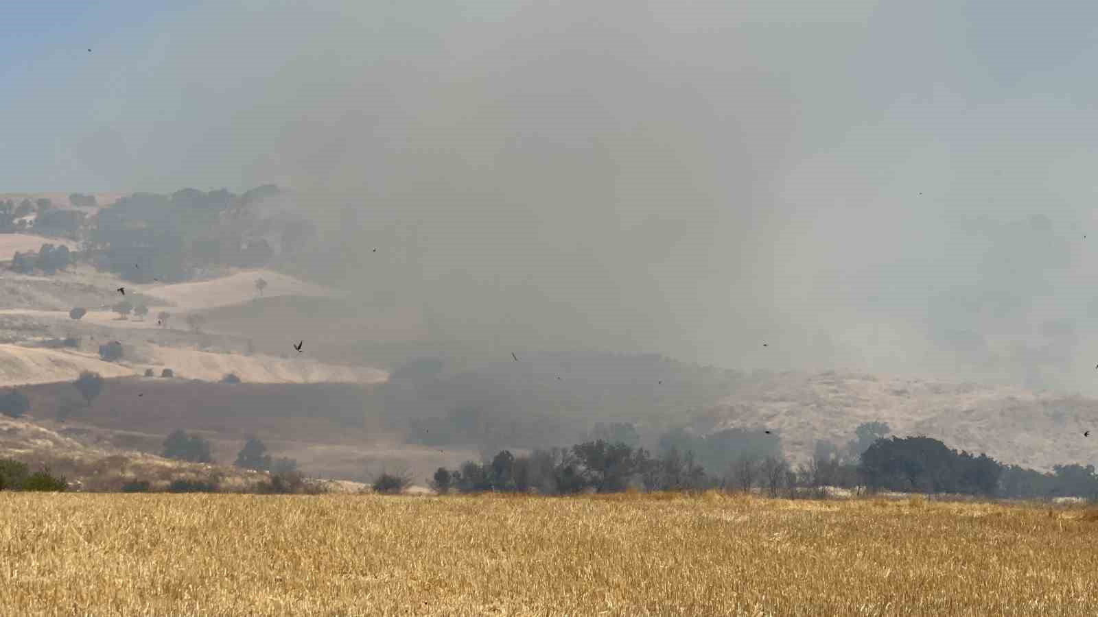 &Ccedil;anakkale&rsquo;de tarım arazisinde yangın
