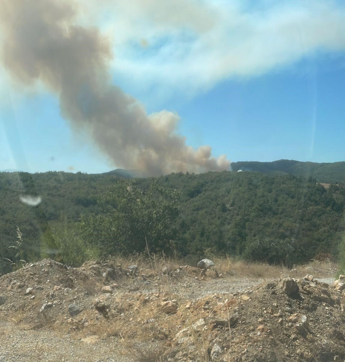 Bursa&rsquo;da orman yangını...
