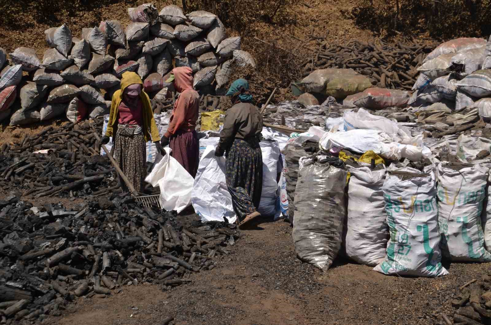 Muş&rsquo;ta mevsimlik iş&ccedil;ilerin zorlu mangal k&ouml;m&uuml;r&uuml; mesaisi
