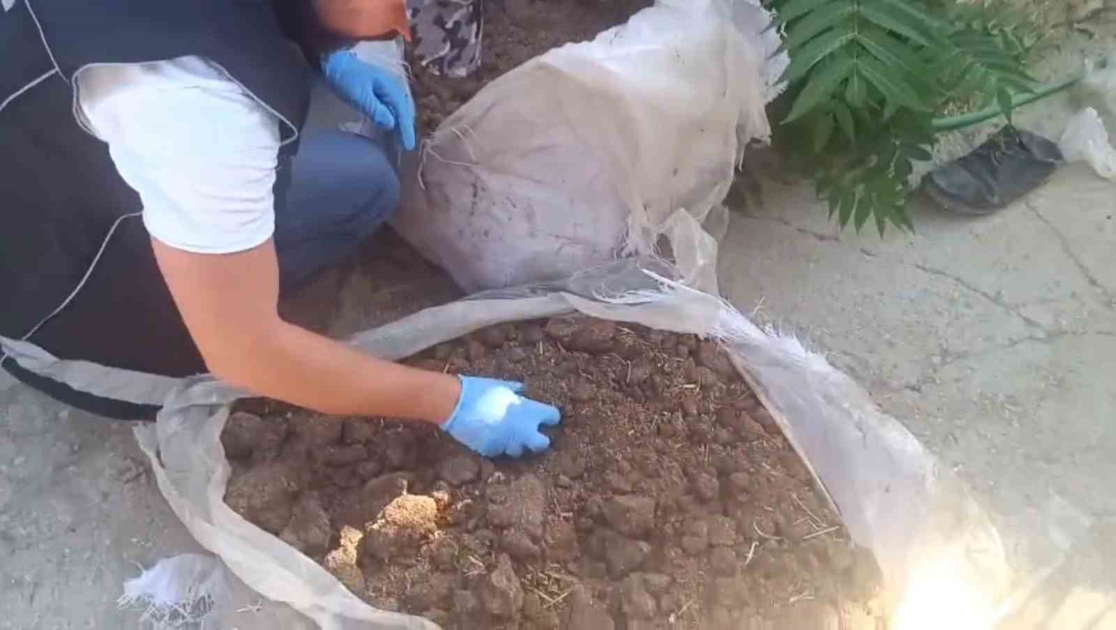 Konya’da zehir tacirlerine operasyon: 712 bin hap ve 65 kök kenevir ele geçirildi