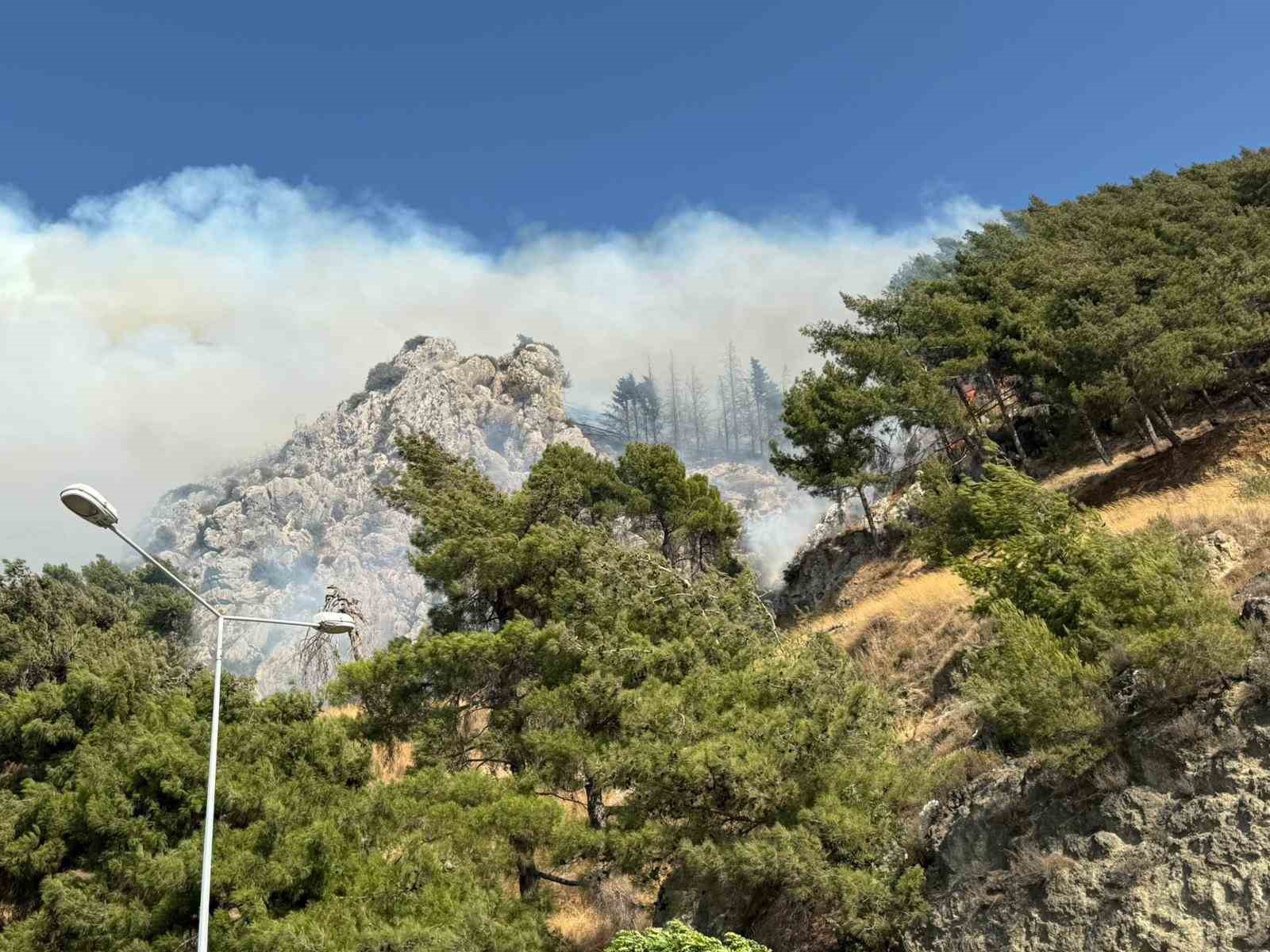 Hatay’da orman yangını