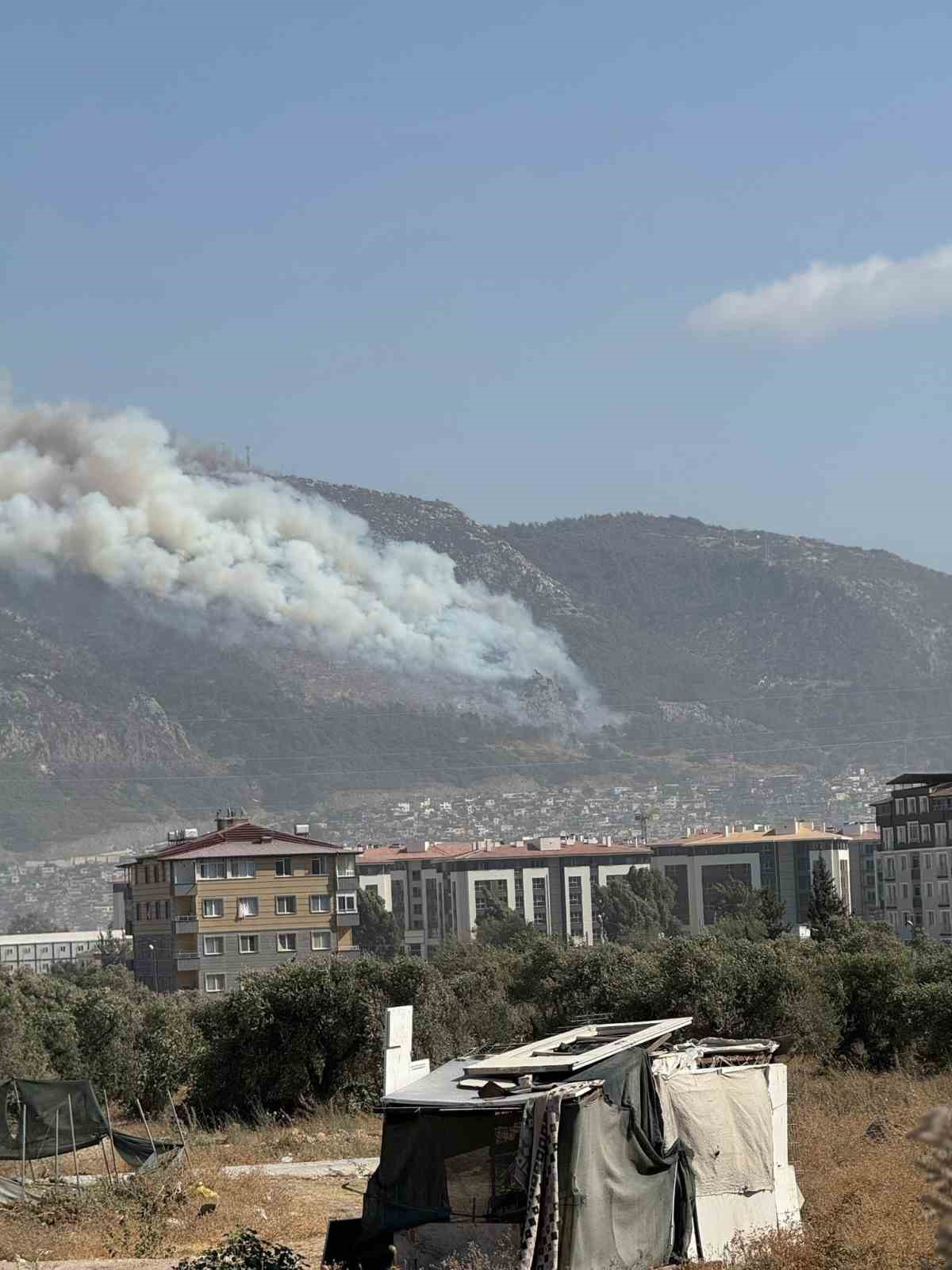 Hatay&rsquo;da orman yangını
