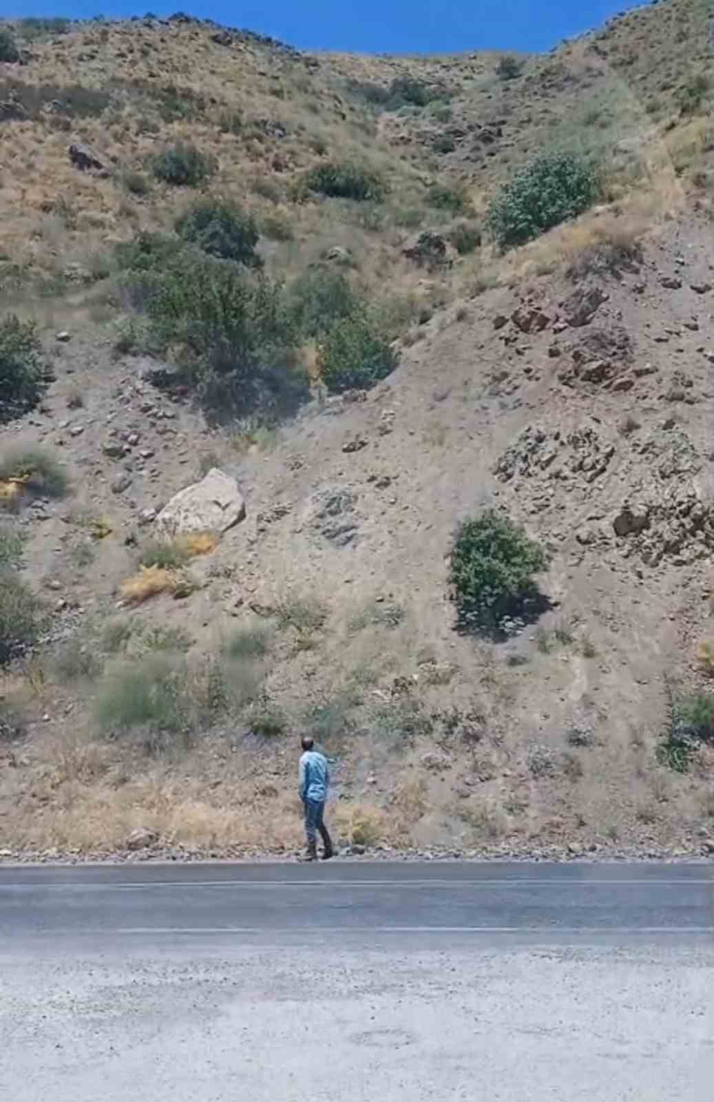 Y&uuml;ksekova-Van kara yolunda s&uuml;r&uuml; halindeki dağ ke&ccedil;ileri g&ouml;r&uuml;nt&uuml;lendi
