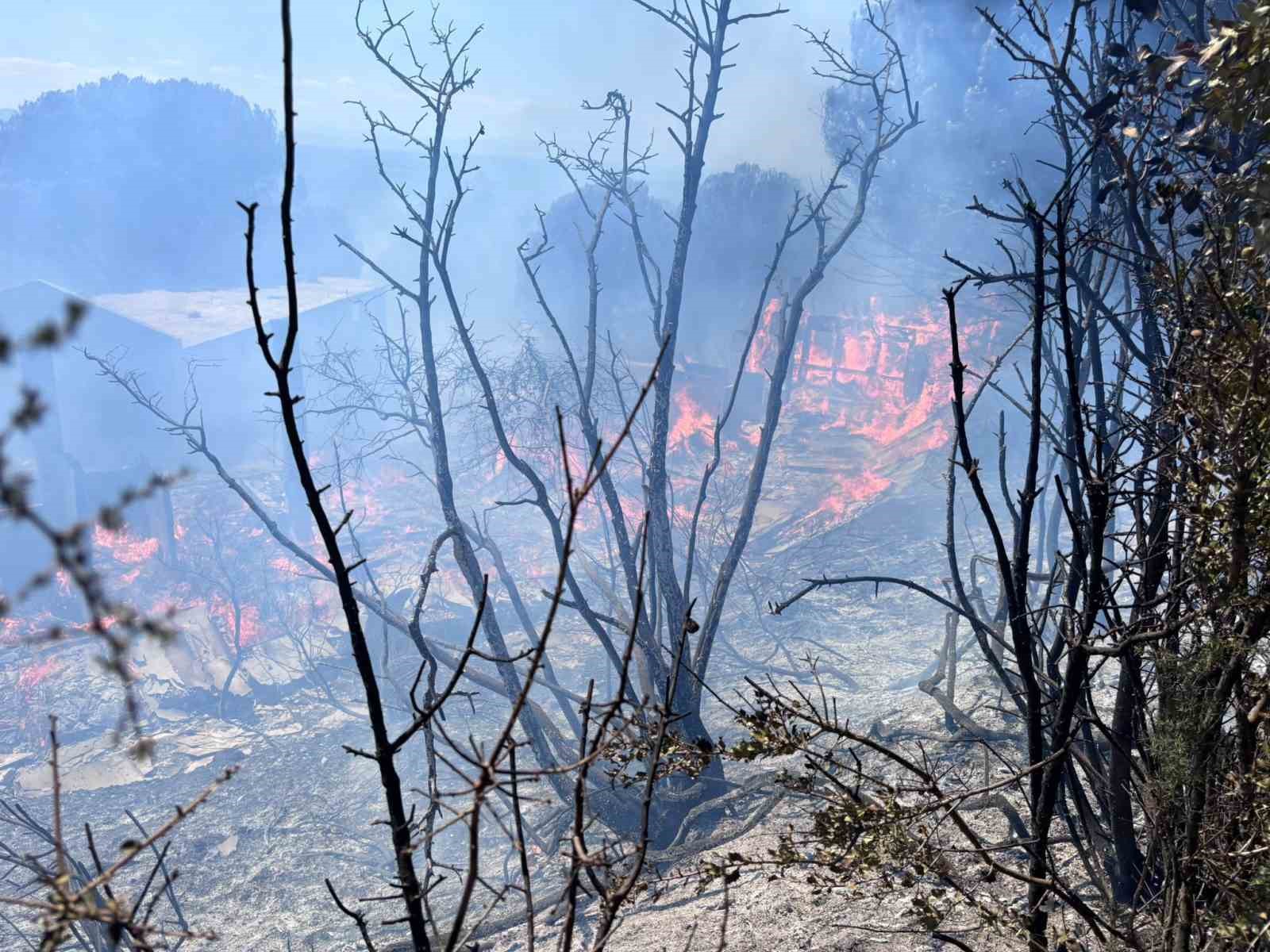 Erdek’te çıkan orman yangını kontrol altına alındı
