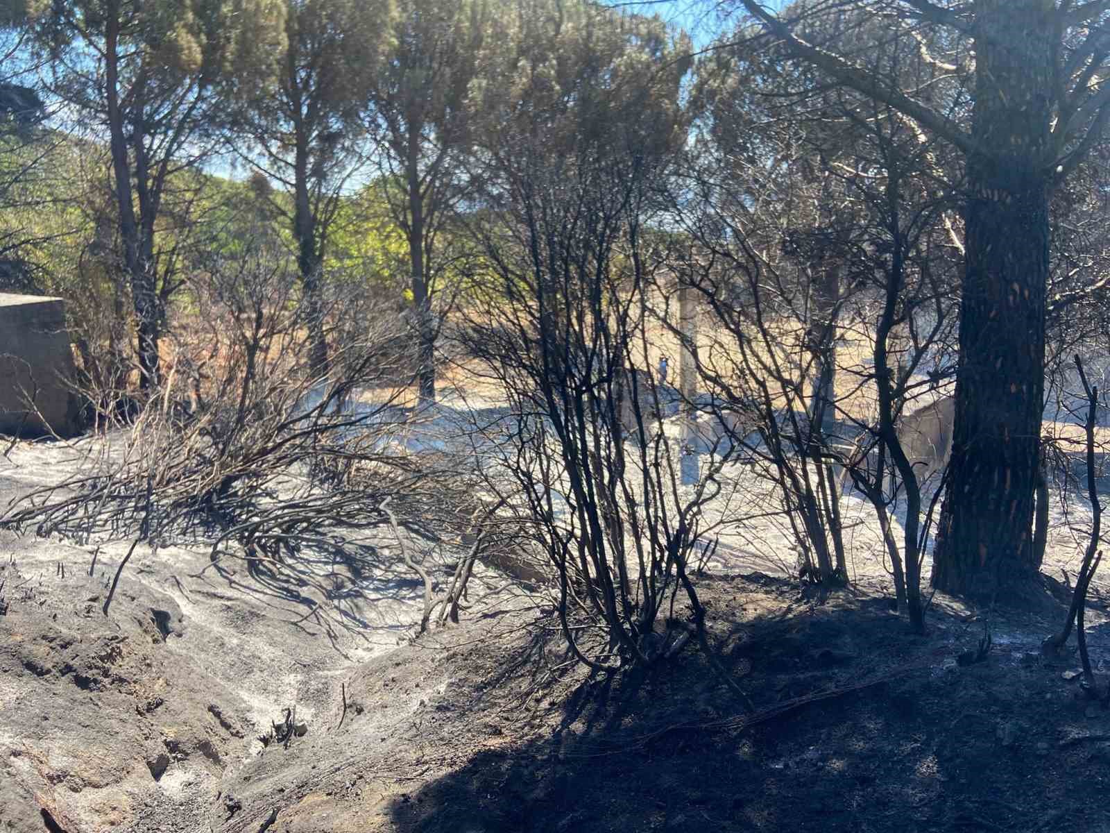 Erdek&rsquo;te &ccedil;ıkan orman yangını kontrol altına alındı
