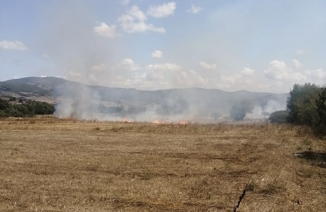 Samsun’da anız yangını ormana sıçramadan söndürüldü