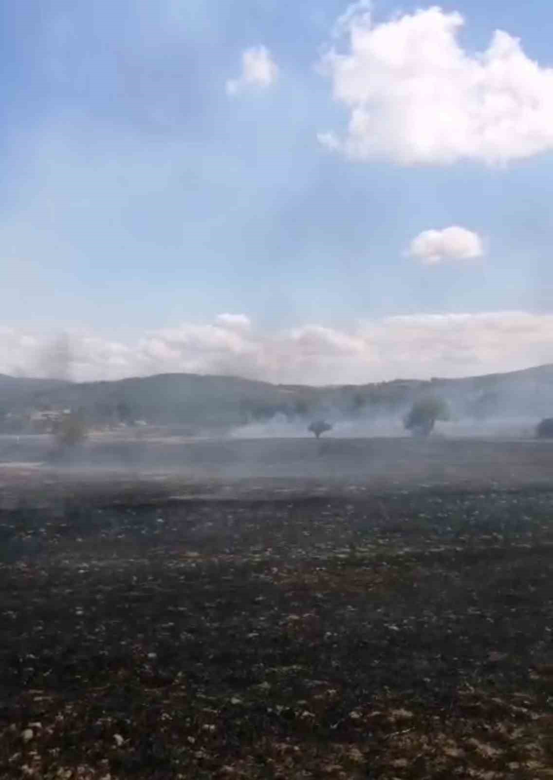 Samsun&rsquo;da anız yangını ormana sı&ccedil;ramadan s&ouml;nd&uuml;r&uuml;ld&uuml;
