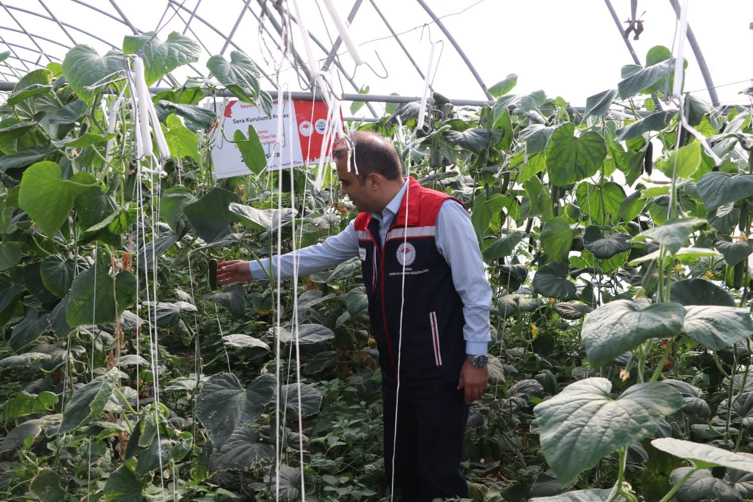 Edirne&rsquo;de sera yatırımlarıyla tarımsal &uuml;retim kapasitesi artırılıyor
