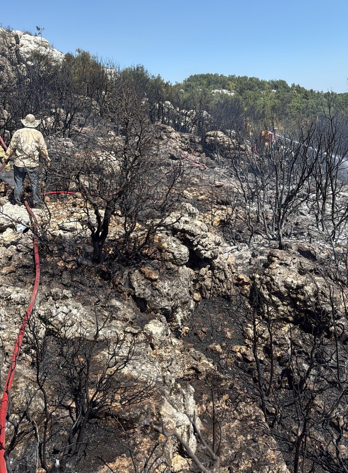 Mersin Silifke’de yangın ormanı sarmadan söndürüldü