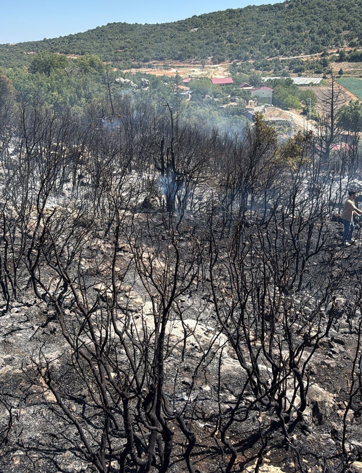 Mersin Silifke&rsquo;de yangın ormanı sarmadan s&ouml;nd&uuml;r&uuml;ld&uuml;

