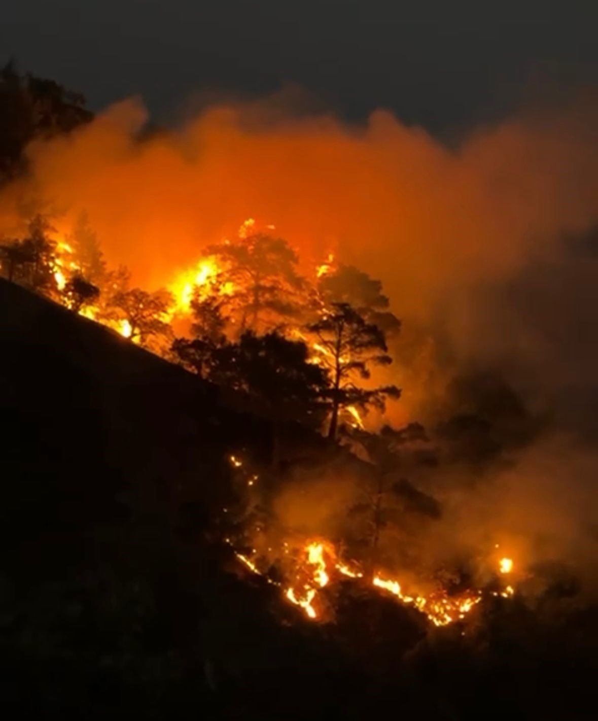 Buldan’da sarp arazide orman yangını çıktı