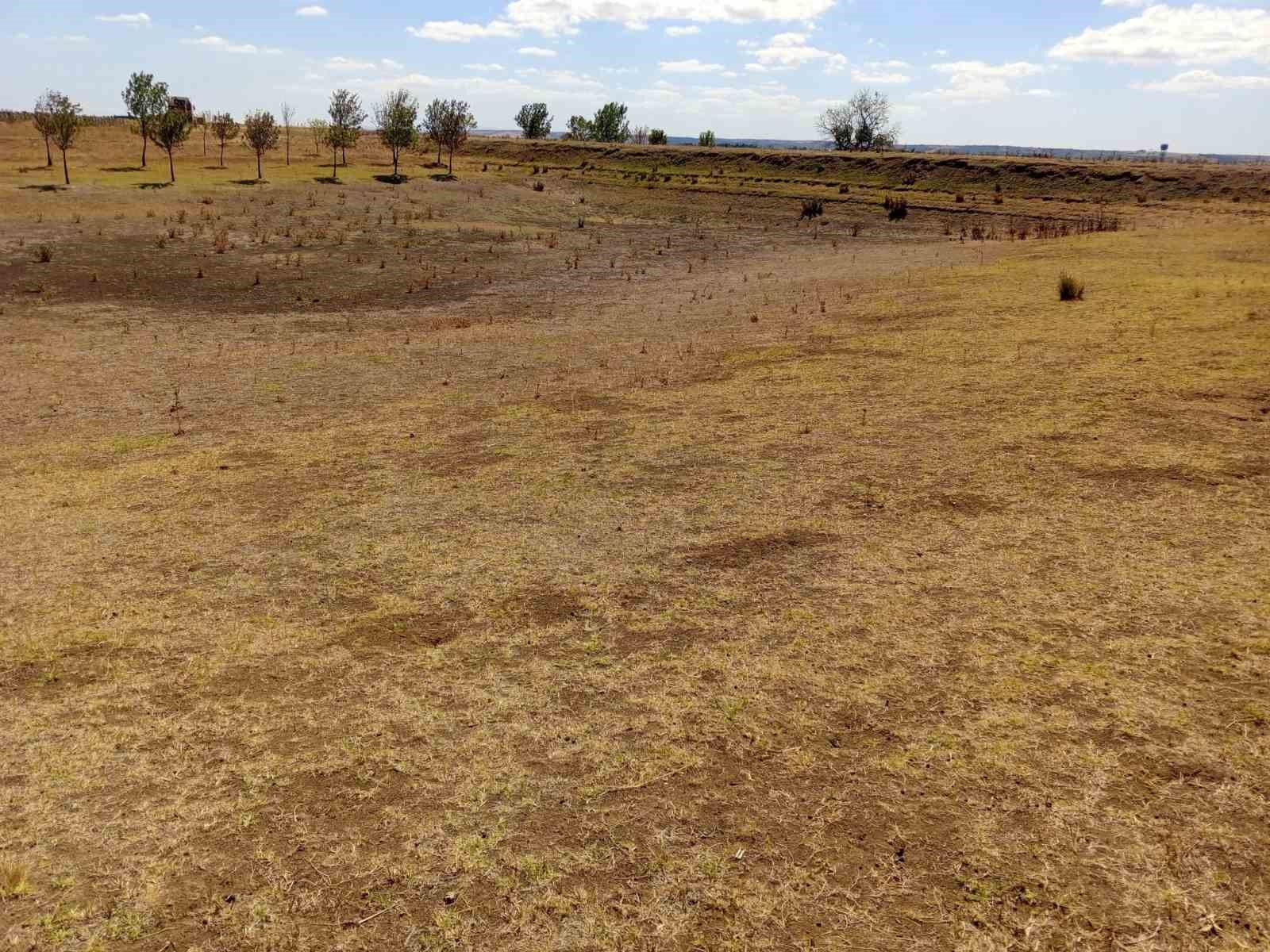 Ballıhoca Sulama G&ouml;leti kurudu
