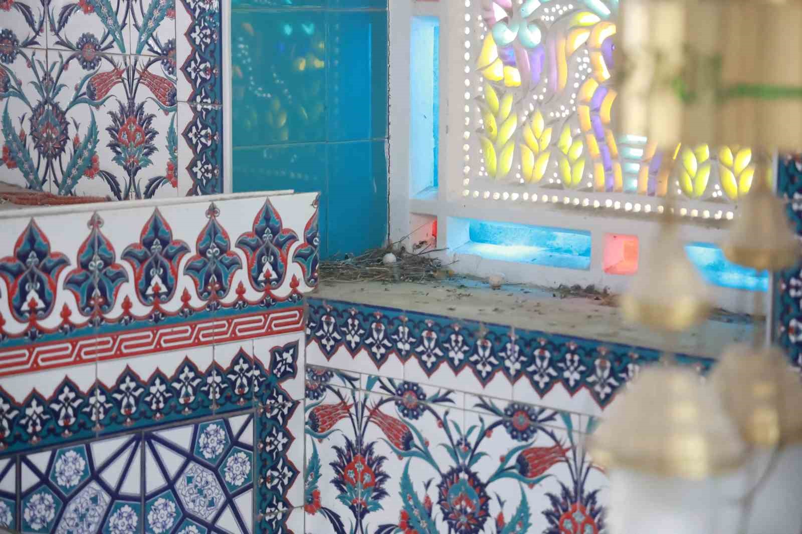 Huzuru camide bulan kuşların yuvalarına cemaatten merhamet koruması
