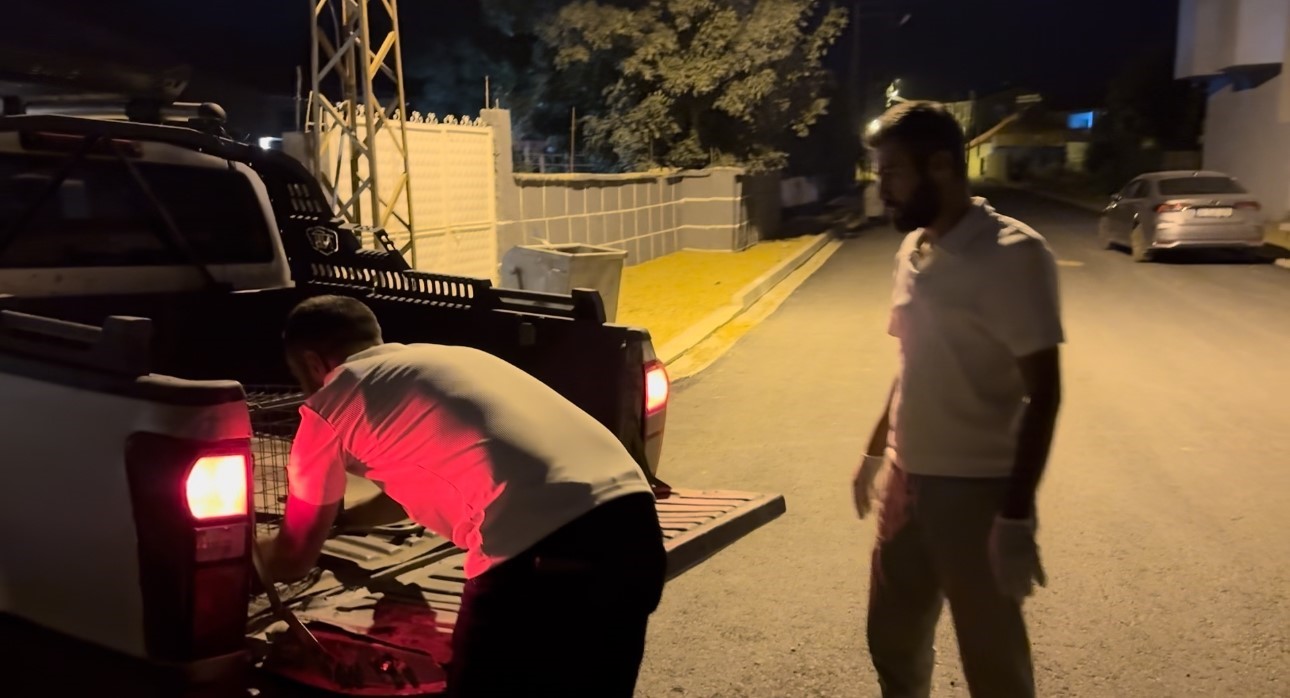 Y&uuml;ksekova&rsquo;da baba-kız yaralı kediyi hayata d&ouml;nd&uuml;rd&uuml;
