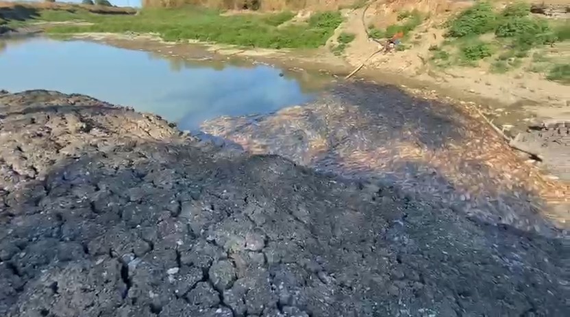 Çanakkale’de Kocabaş Çayı alarm verdi, toplu balık ölümleri yaşandı