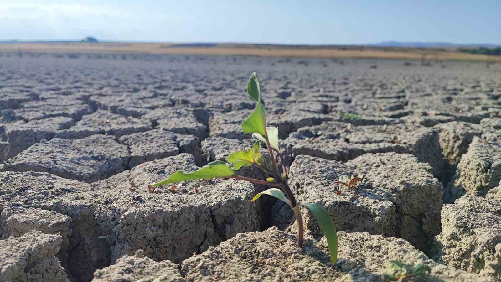 Yozgat’taki Gelingüllü Barajı’nda su çekildi, kuraklığın izleri ortaya çıktı
