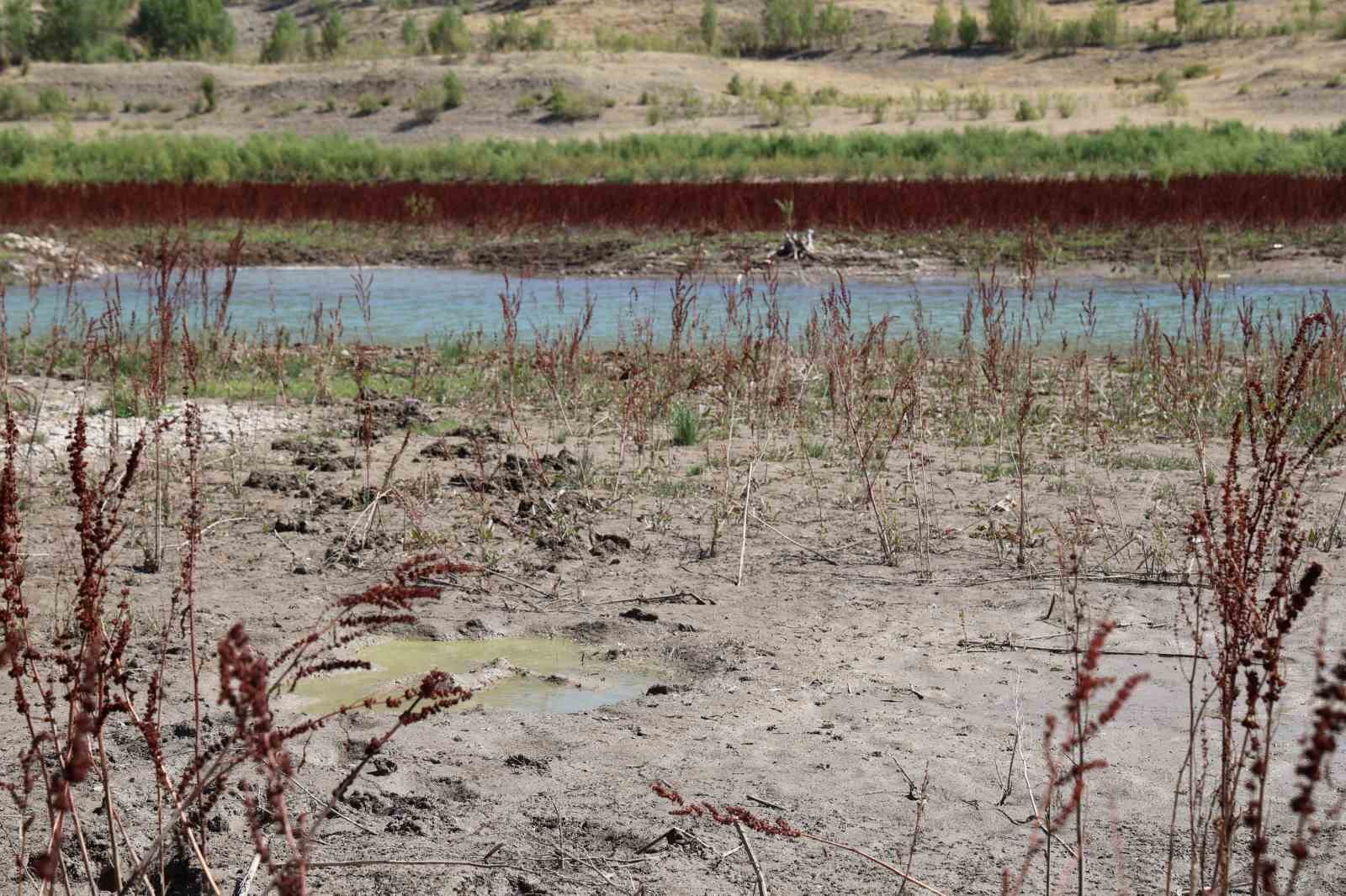 Sivas&rsquo;ın &ouml;nemli su kaynaklarında olan 4 Eyl&uuml;l barajında zemin g&ouml;r&uuml;nt&uuml;
