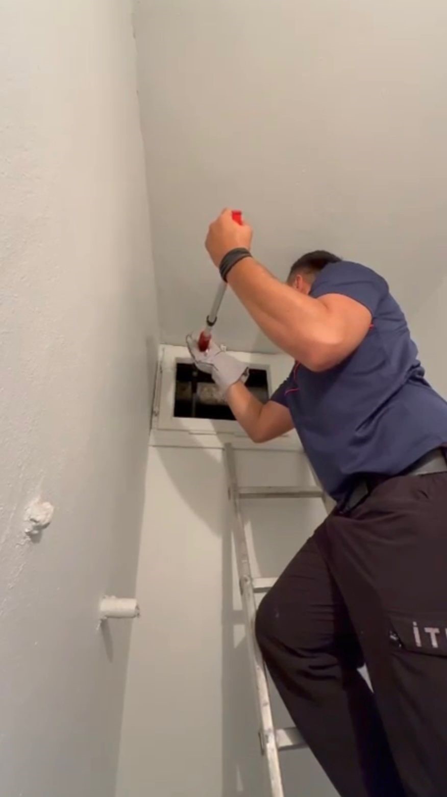 Osmaniye’de havalandırma boşluğuna düşen yavru kedi kurtarıldı