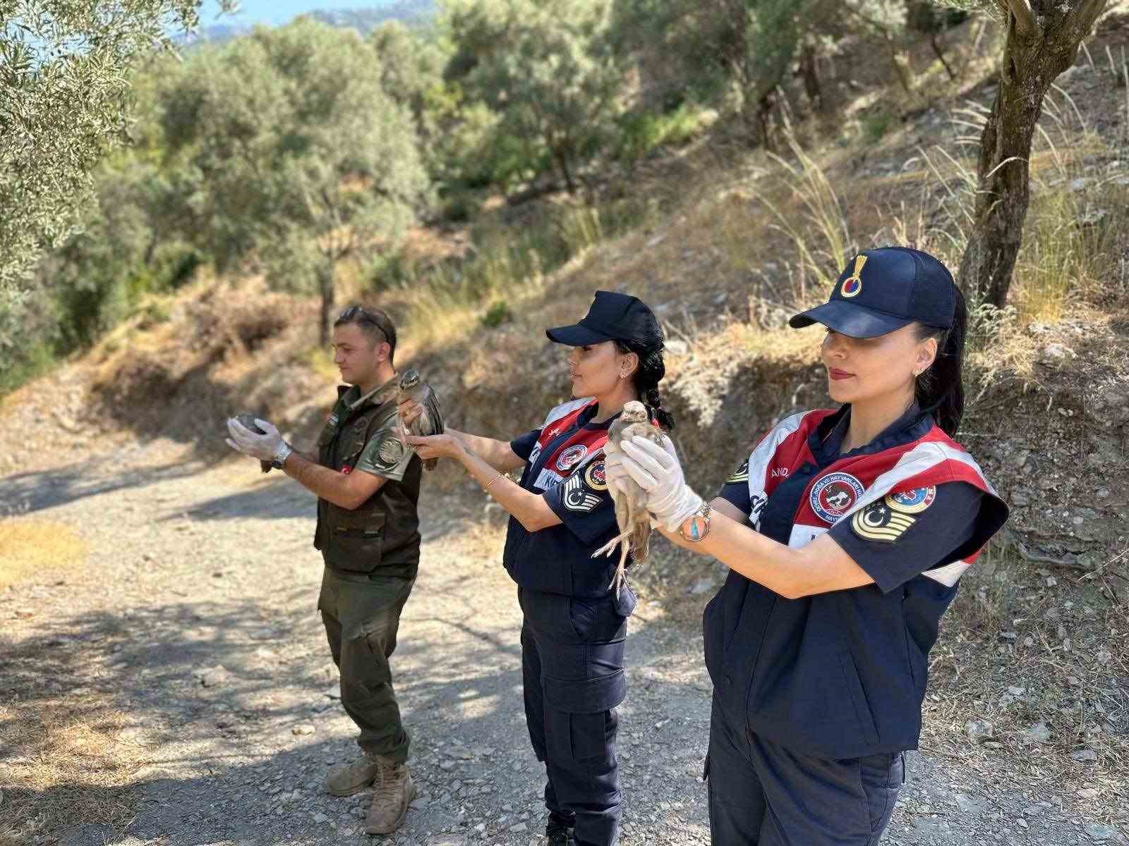 Doğa koruma faaliyetinde 25 bıldırcın ve 21 keklik ele geçirildi