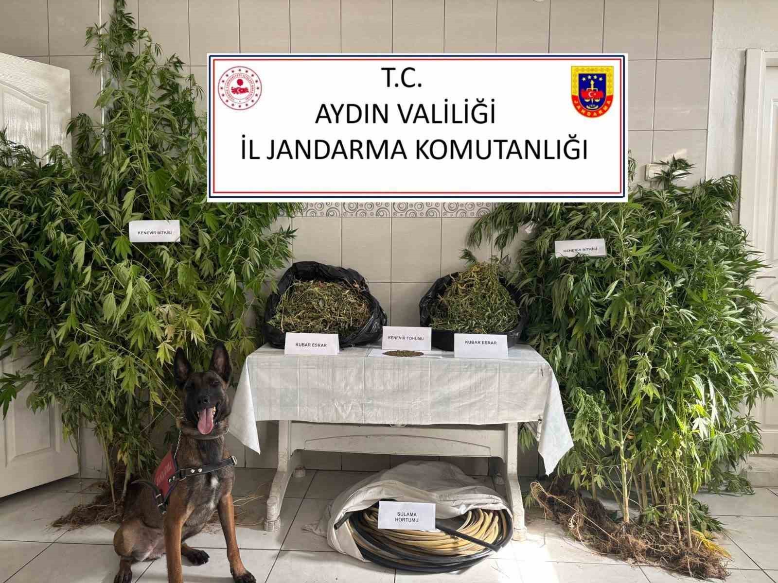 Jandarmadan uyuşturucu operasyonu: 12 ş&uuml;pheli yakalandı
