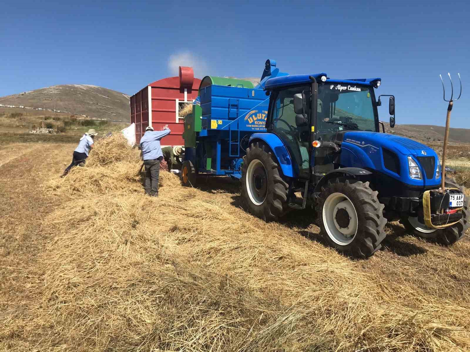 Ardahan’da güneş altında patoz mesaisi