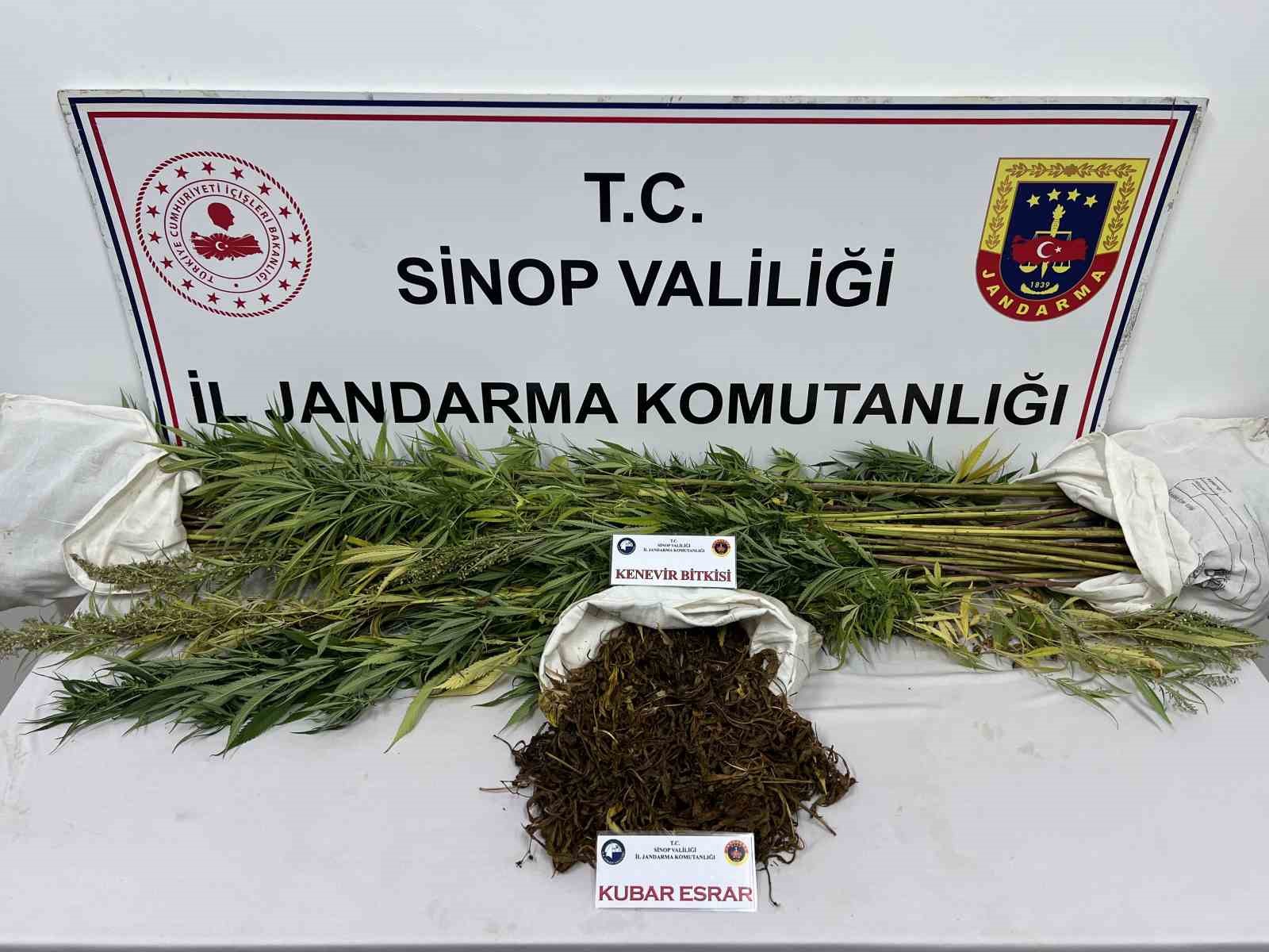 Sinop’ta 425 gram kubar esrar ve 56 kök kenevir bitkisi ele geçirildi